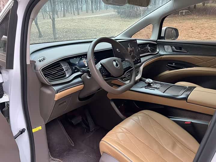 Фото 7 - Denza D9