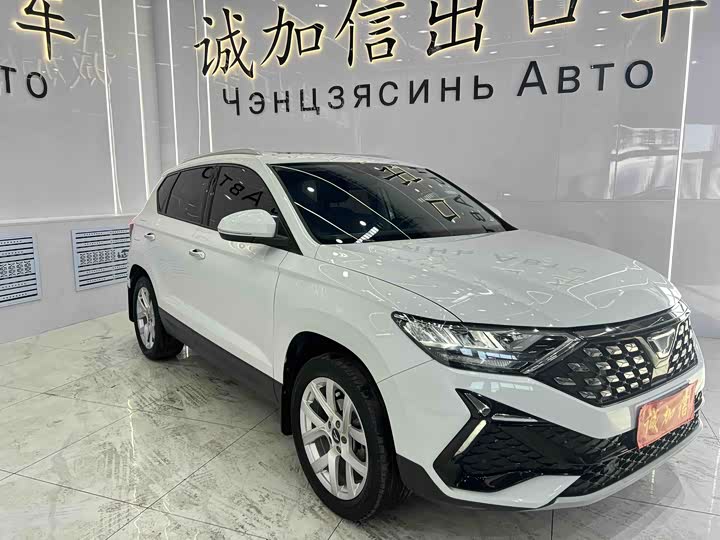 Фото 5 - Jetta VS5