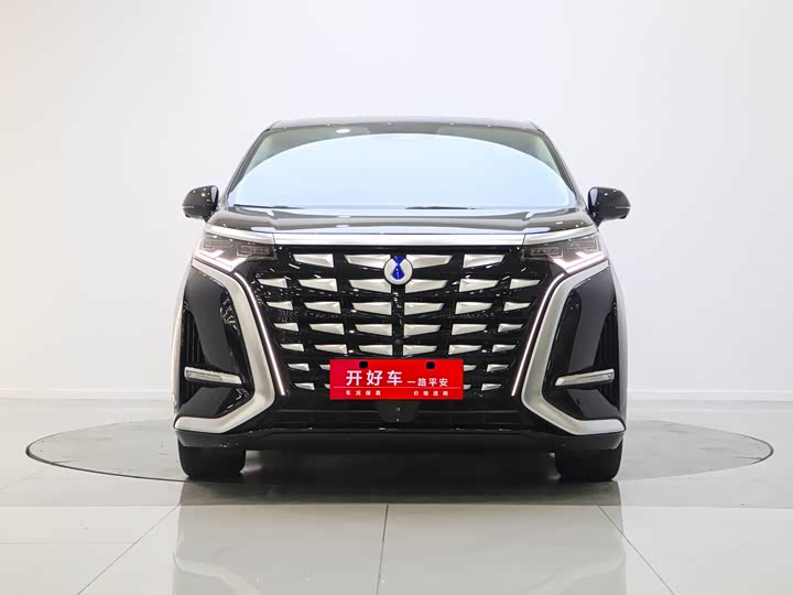 Фото 2 - Denza D9