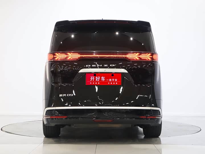 Фото 3 - Denza D9