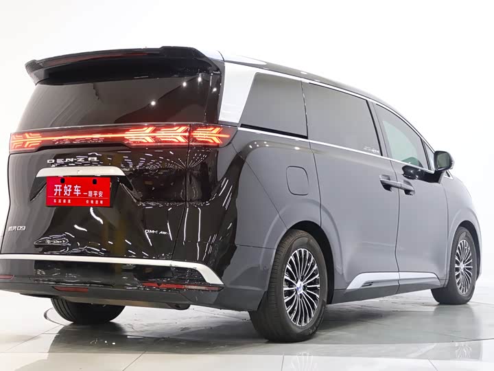 Фото 4 - Denza D9