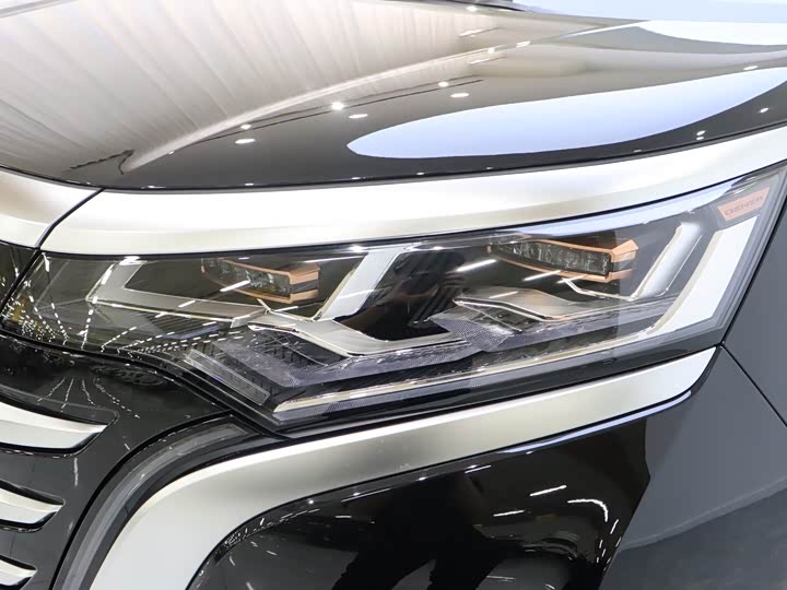 Фото 8 - Denza D9