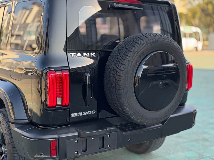 Фото 9 - Tank 300