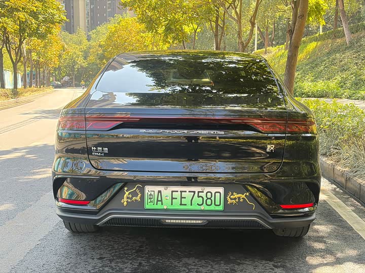 Фото 7 - BYD Han