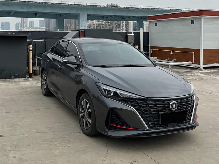 Фото 3 - Changan Eado Plus