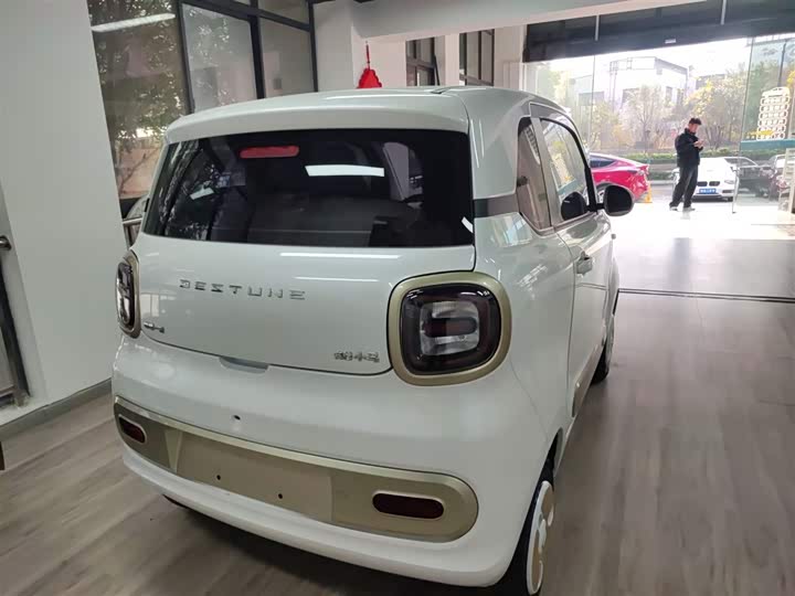 Фото 7 - Bestune Pony