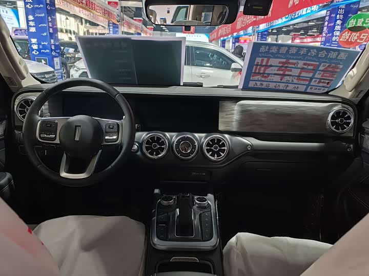 Фото 5 - Tank 300