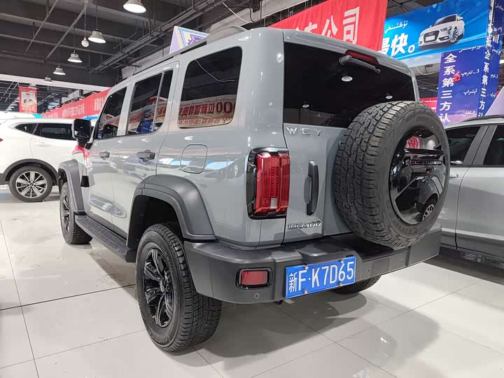 Фото 7 - Tank 300