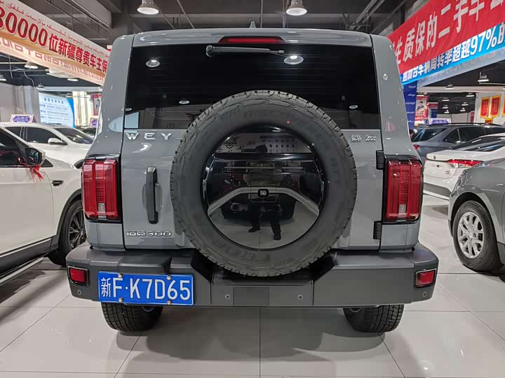 Фото 8 - Tank 300