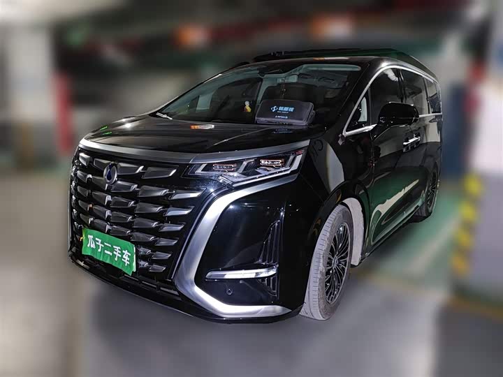 Фото 2 - Denza D9