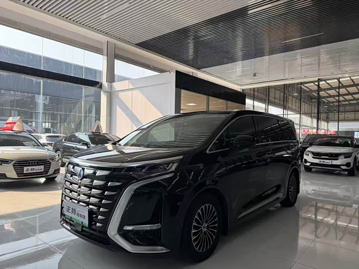 Фото 1 - Denza D9