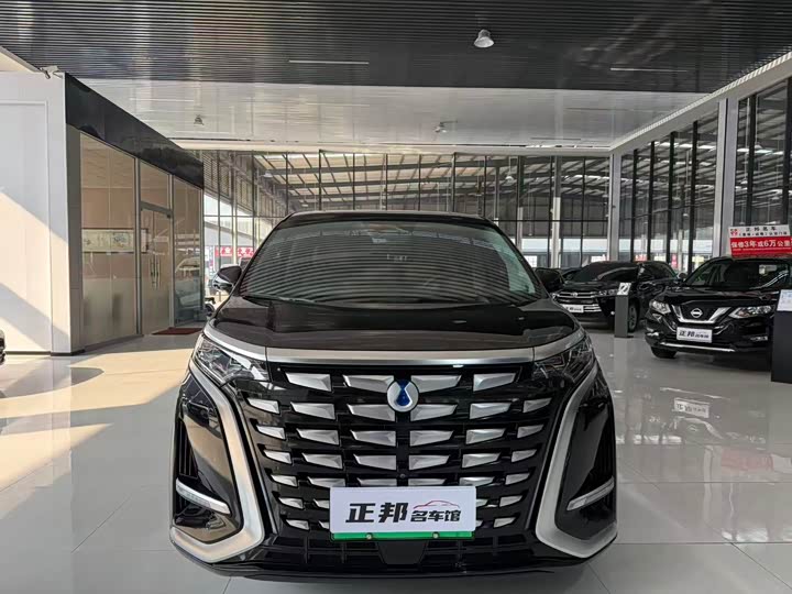 Фото 2 - Denza D9