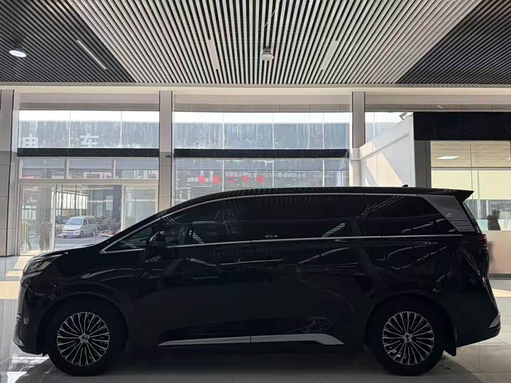 Фото 3 - Denza D9