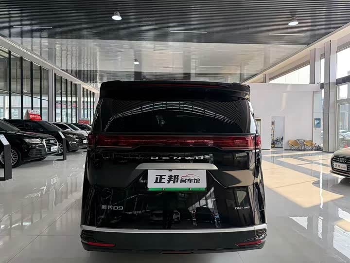 Фото 4 - Denza D9