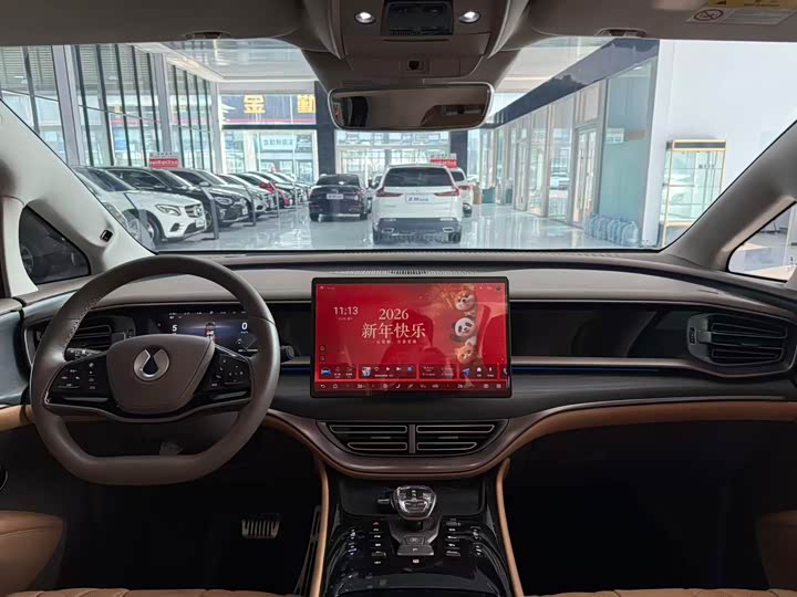 Фото 8 - Denza D9