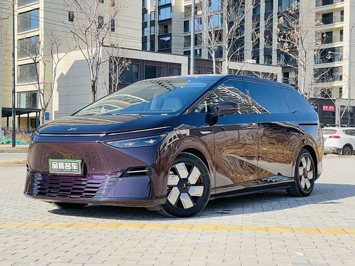 Фото 1 - XPeng X9