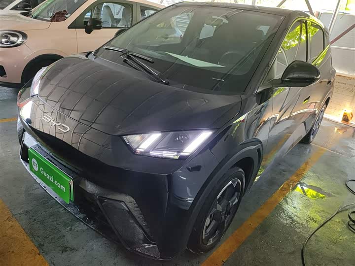 Фото 1 - BYD Seagull