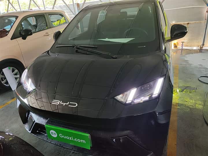 Фото 3 - BYD Seagull