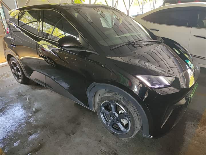 Фото 4 - BYD Seagull