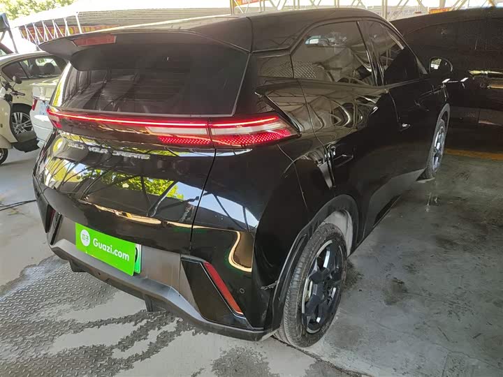 Фото 7 - BYD Seagull