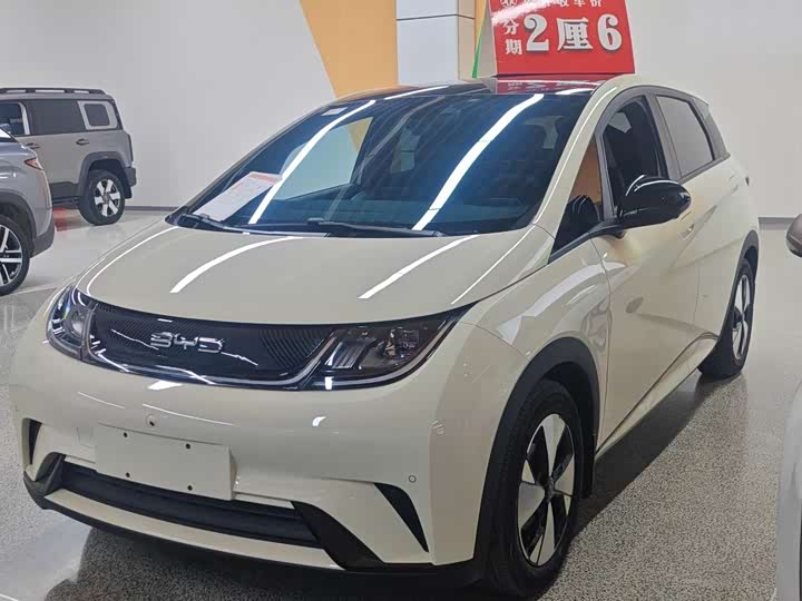 Фото 1 - BYD Dolphin