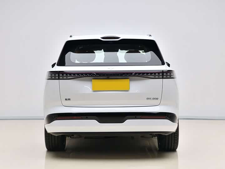 Фото 5 - Dongfeng Yipai eπ 008