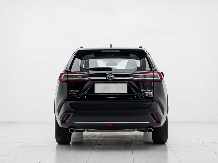 Фото 3 - Toyota Wildlander