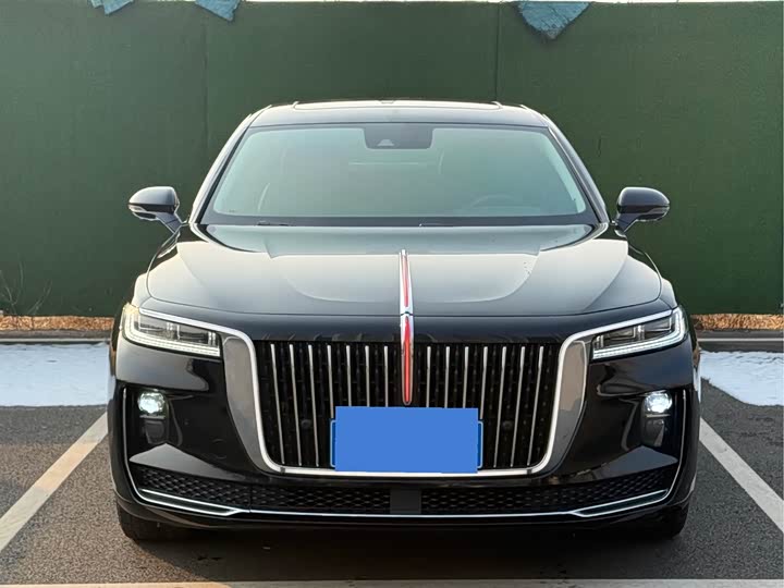 Фото 2 - Hongqi H9