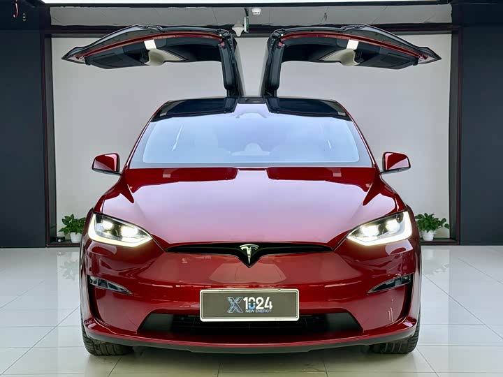 Фото 2 - Tesla Model X