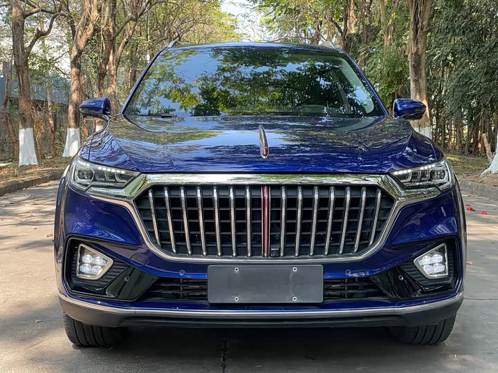 Фото 4 - Hongqi HS5