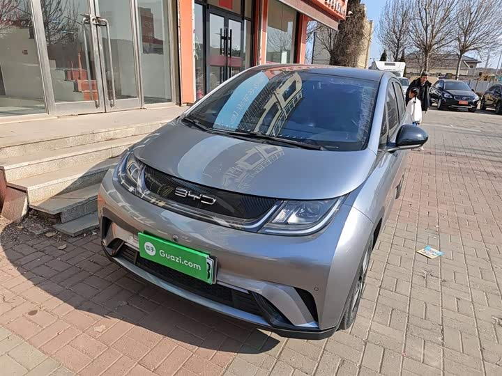 Фото 2 - BYD Dolphin