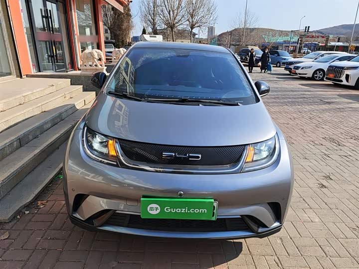 Фото 3 - BYD Dolphin