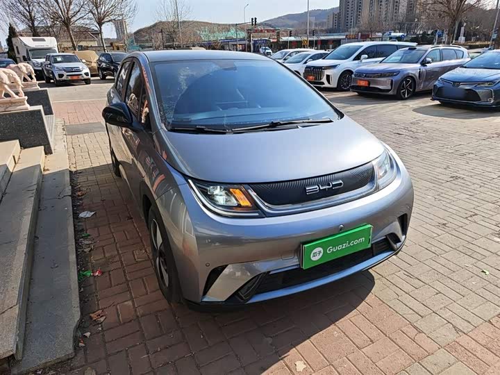 Фото 4 - BYD Dolphin