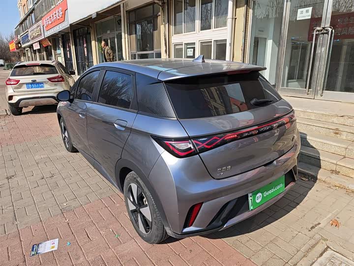 Фото 5 - BYD Dolphin