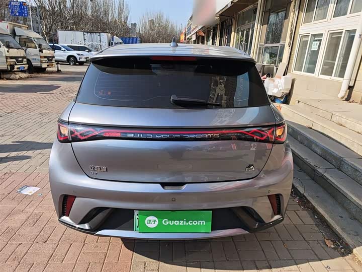 Фото 6 - BYD Dolphin