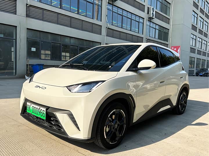 Фото 1 - BYD Seagull