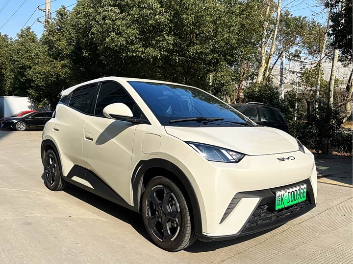 Фото 3 - BYD Seagull