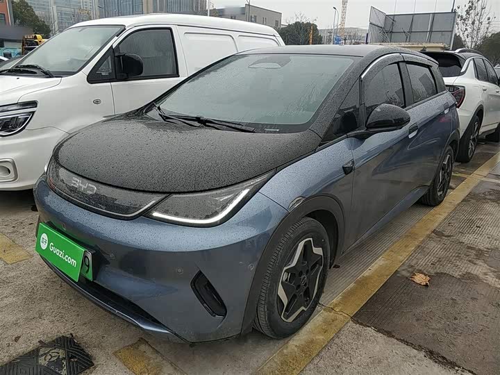 Фото 2 - BYD Dolphin