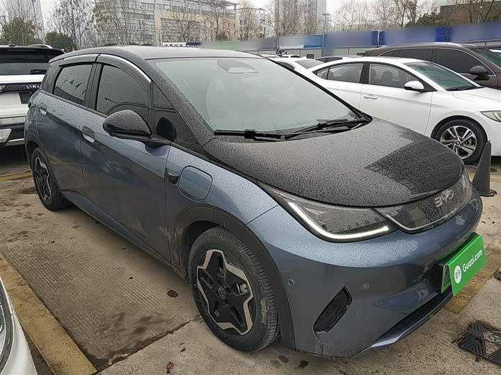 Фото 4 - BYD Dolphin