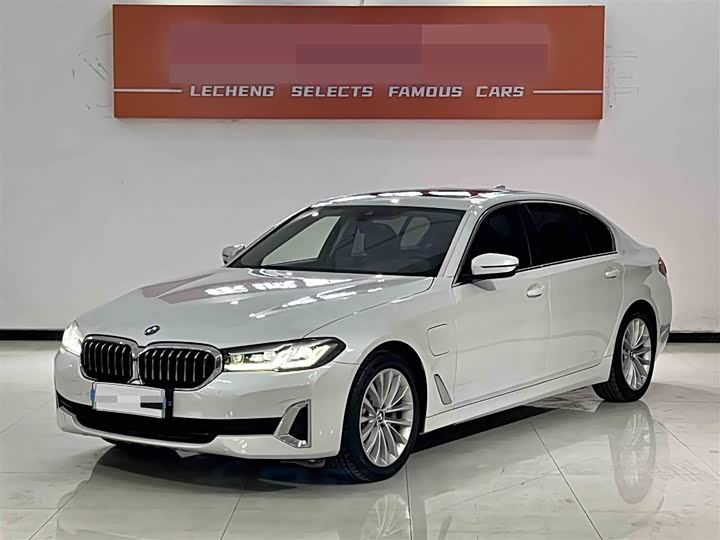 Фото 1 - BMW 5 Series Hybrid