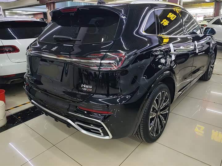 Фото 3 - Hongqi HS5