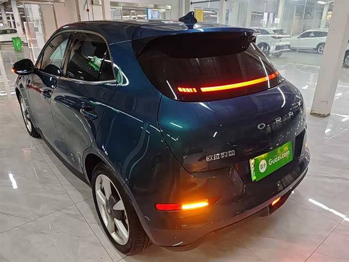 Фото 5 - Ora Good Cat (03)