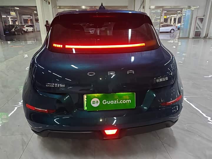 Фото 6 - Ora Good Cat (03)