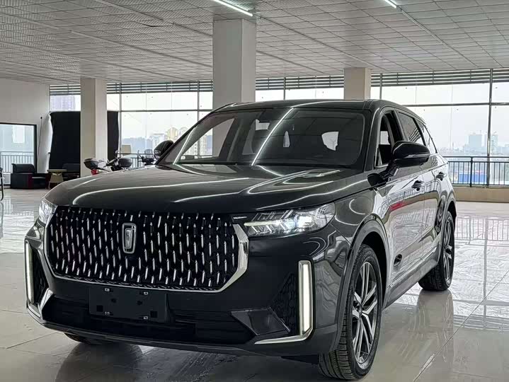 Фото 1 - Bestune T99