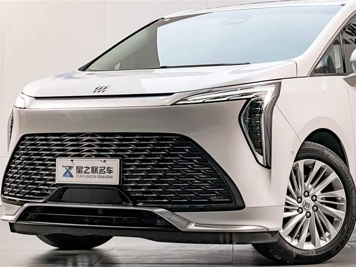 Фото 2 - Buick GL8 Century