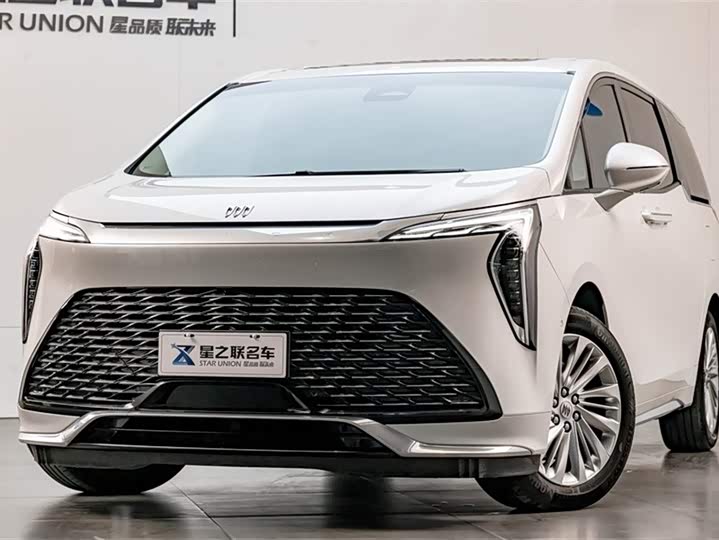 Фото 3 - Buick GL8 Century