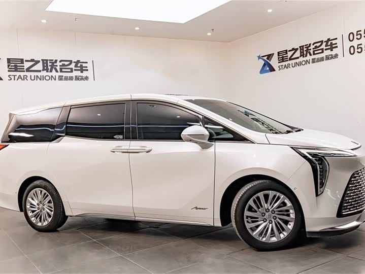 Фото 6 - Buick GL8 Century