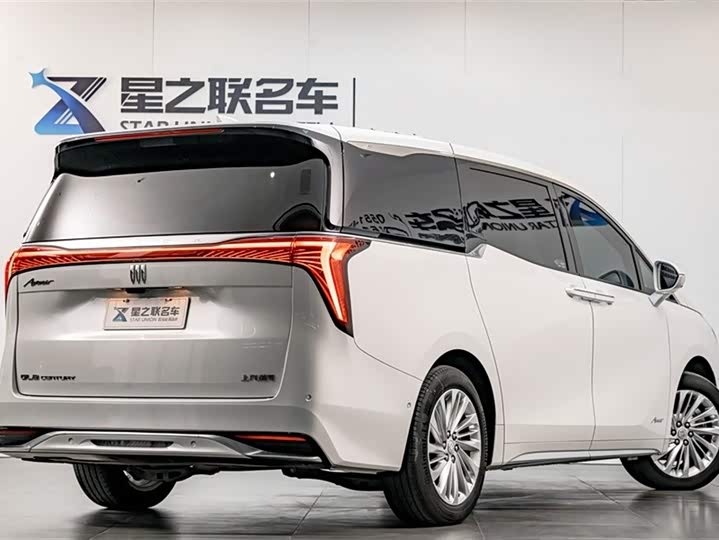 Фото 7 - Buick GL8 Century