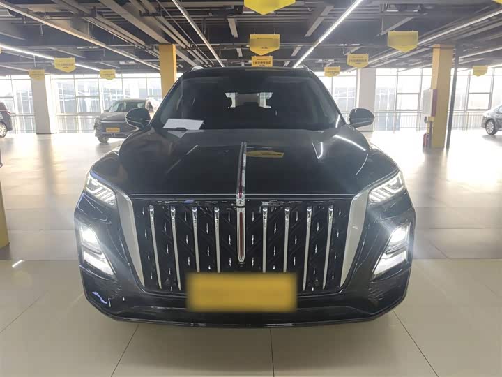 Фото 3 - Hongqi HS5