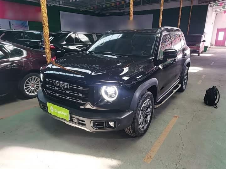 Фото 2 - Haval Dargo